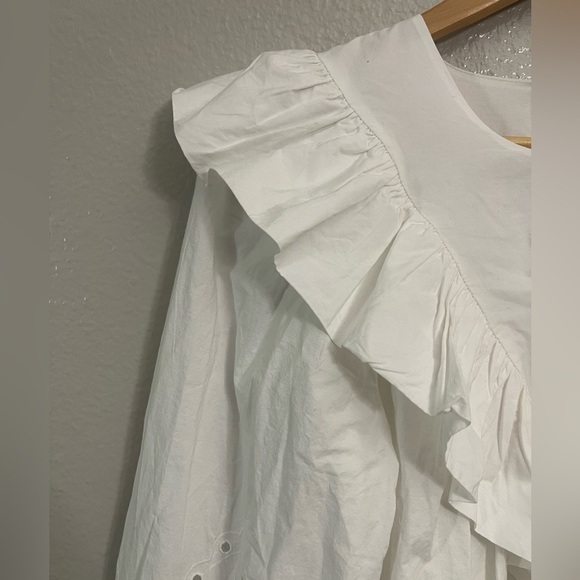 Zara Ruffled Openwork Embroidery Dress - Picture 8 of 11